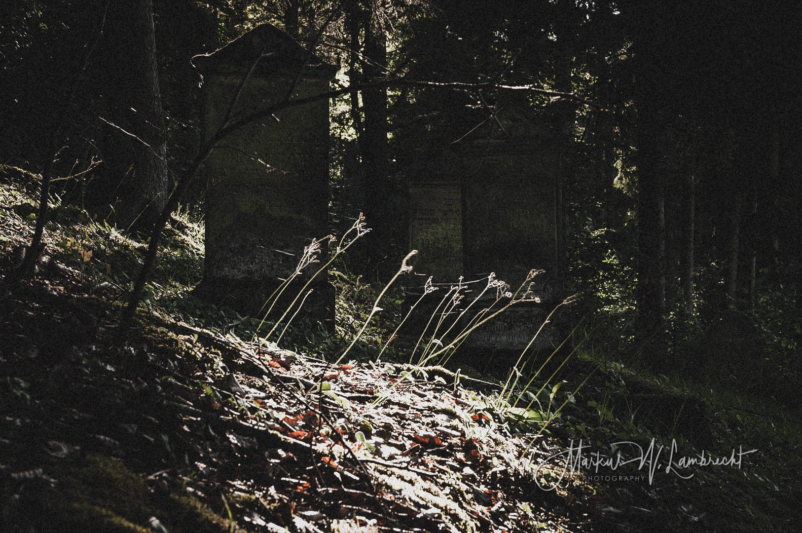 Jüdischer Friedhof Liebenau